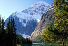 AYXapp下载-世界杯之夜，西亚卡姆的完美答卷