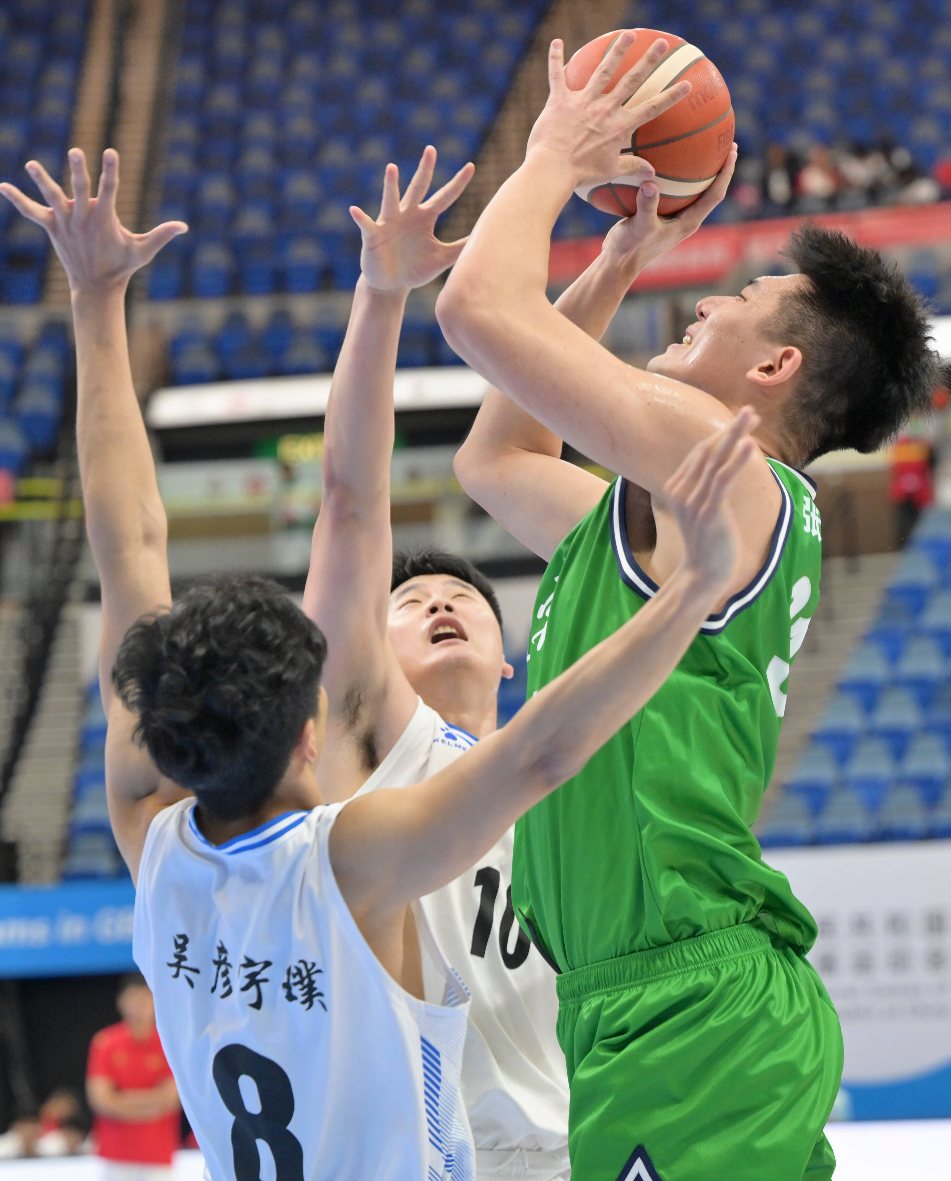 国内职业篮球比赛场面火爆，球员实力引人瞩目