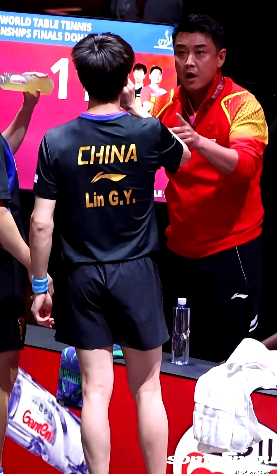 中国乒乓球队逆转德国乒乓球队，王皓一己之力扛起全队的简单介绍