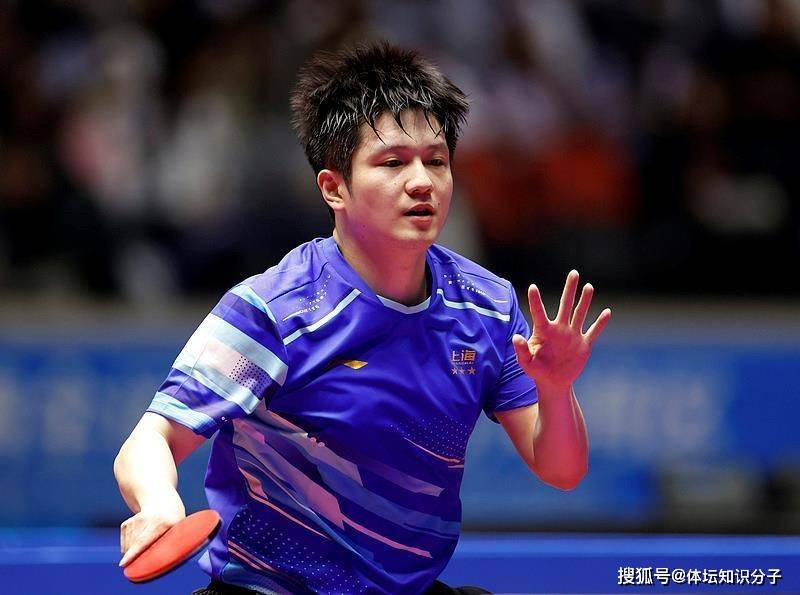关于韩国队横扫奥地利队,樊振东状态火热的信息 关于韩国队横扫奥地利队,樊振东状态火热的信息