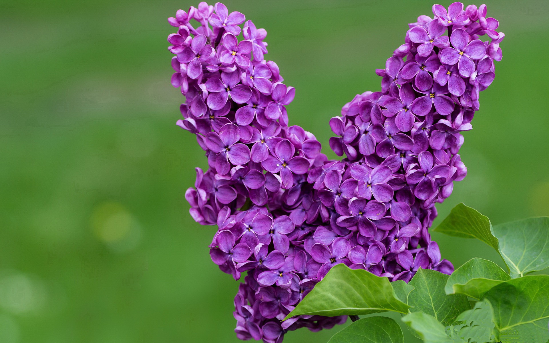 西决生死战之夜，塔图姆关键时刻站出来