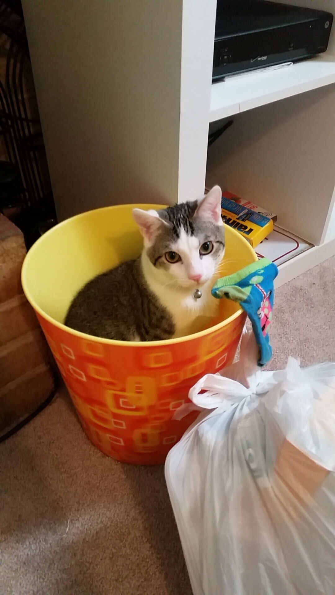 从尼斯到佛罗伦萨,福登如何成为英格兰足球的关键先生