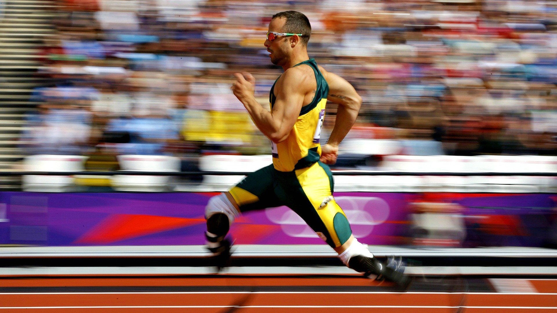 范弗利特独舞之夜，浙江队对阵魔术，个人能力完全展现