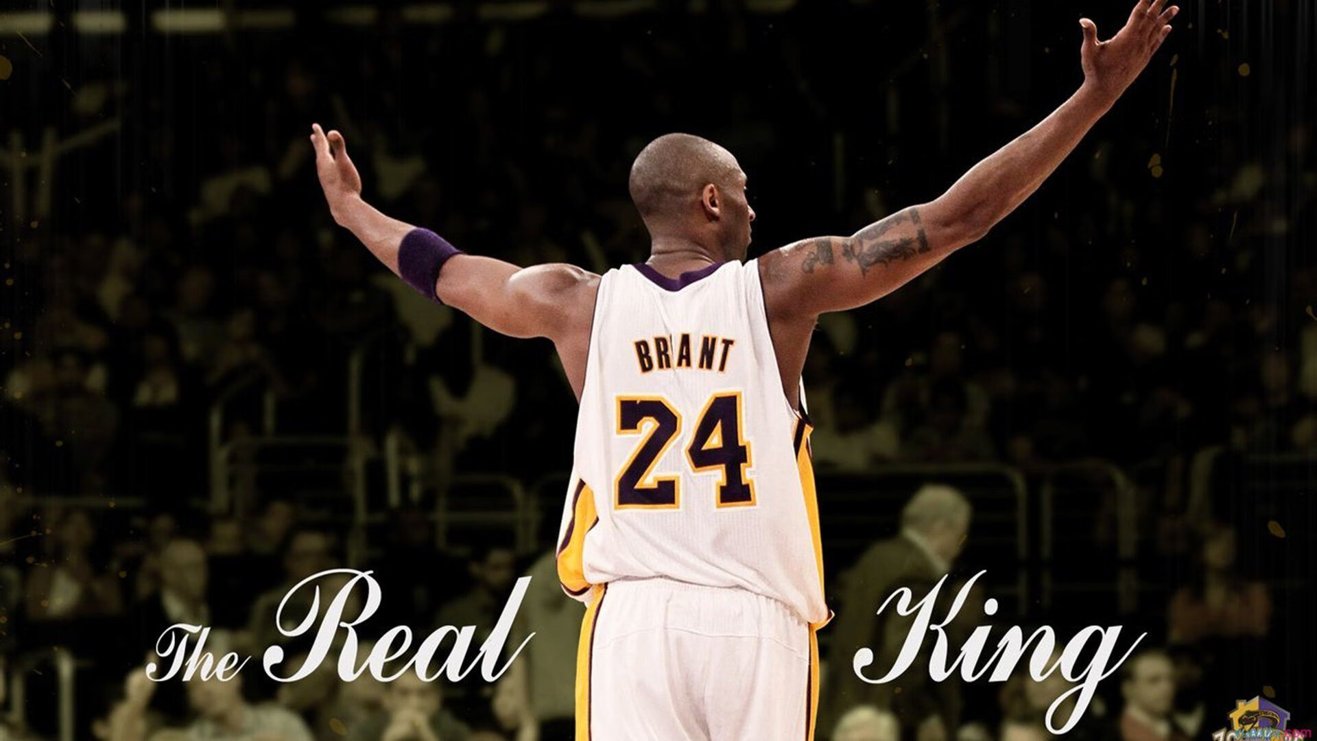 铁壁灰熊,如何以窒息式防守锁死76人进攻命脉